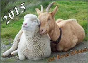 коза и овца обл