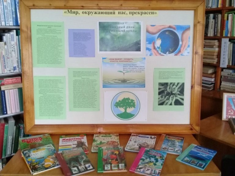 День охраны окружающей среды в библиотеках
