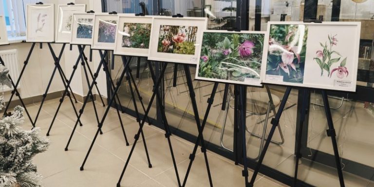 Редкие растения Урала