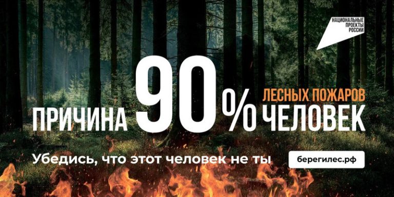 Лес без огня